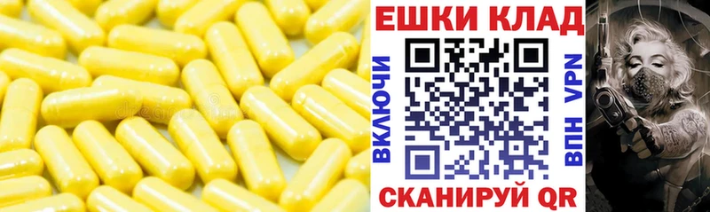 Купить закладки  Игра  ЭКСТАЗИ XTC 