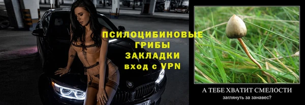 герыч Новозыбков