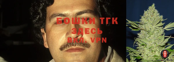 прущие крисы Нефтегорск
