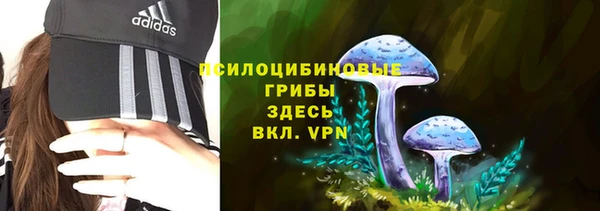 герыч Новозыбков