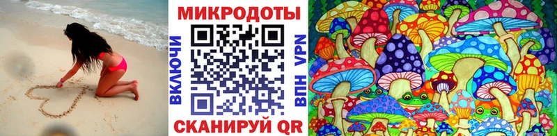 Галлюциногенные грибы Cubensis  Купить  Игра 